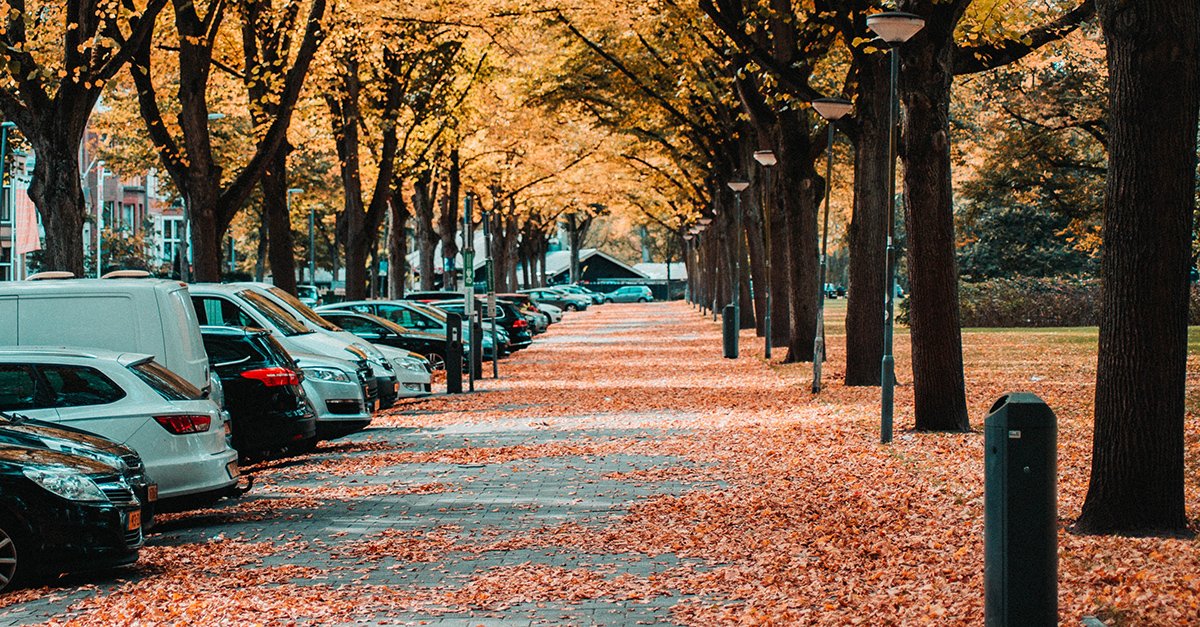 g&aring;ngv&auml;g i all&eacute; med gula tr&auml;d och h&ouml;stl&ouml;v p&aring; marken och n&aring;gra bilar st&aring;r parkerade p&aring; rad
