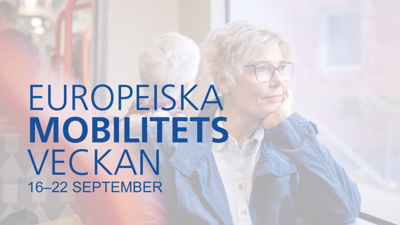Kvinna i kollektivtrafik